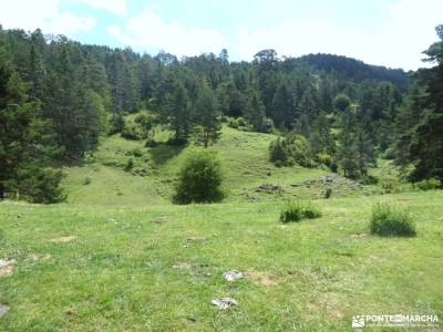Sierras de Neila y Urbión;cine arenas de san pedro parque natural de sierra nevada fotos covadonga e